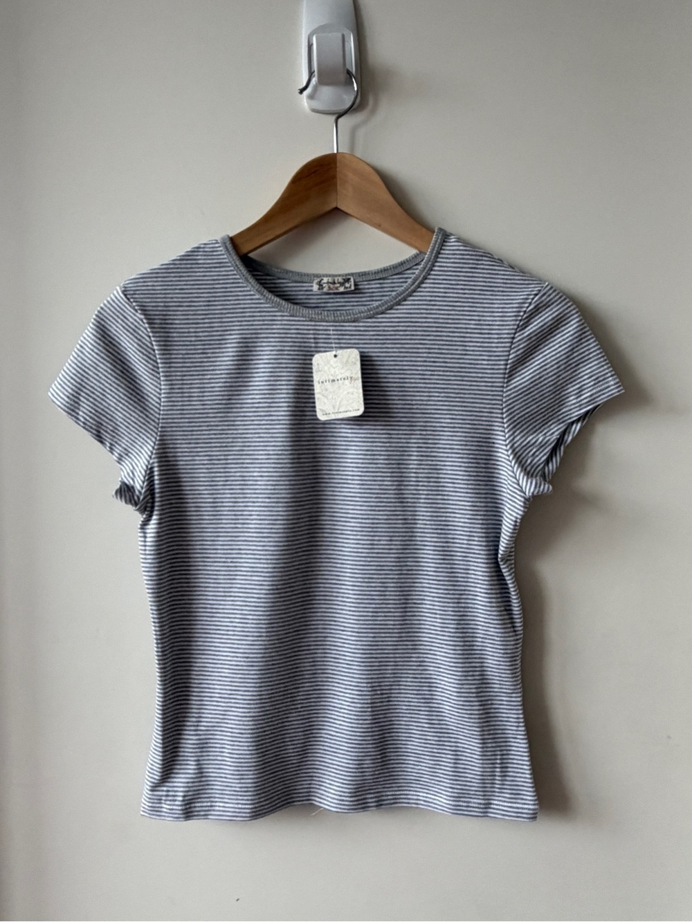 BNWT Free People Slim Striped Crew Tee - Gray & White